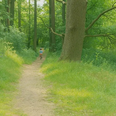 Am Neuklostersee Ferienhaus Neukloster